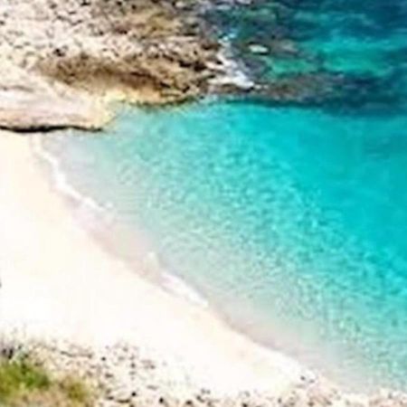 Готель Stella Marina Кастелламмаре-дель-Гольфо Екстер'єр фото